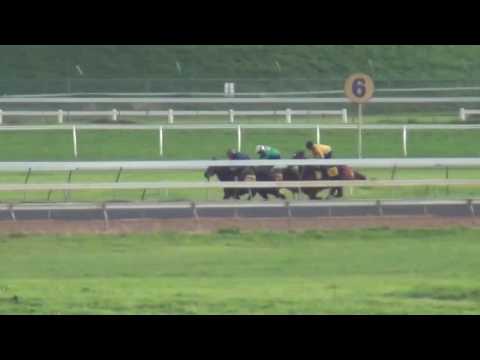 W'bool Trial 5 24 05 17 Duck Costa Forays