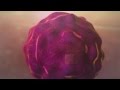 Apoptosis Video Animation