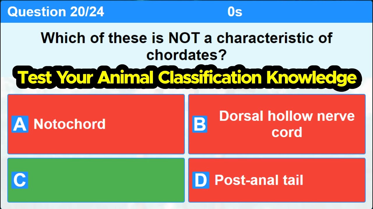 Animal Classification Quiz, Test Your Knowledge of Basic Animal Classification; Biology