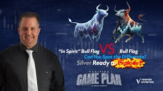 Bull Flag vs In Spirit Bull Flag: Can You Spot the Difference? Silver Ready to Explode?!