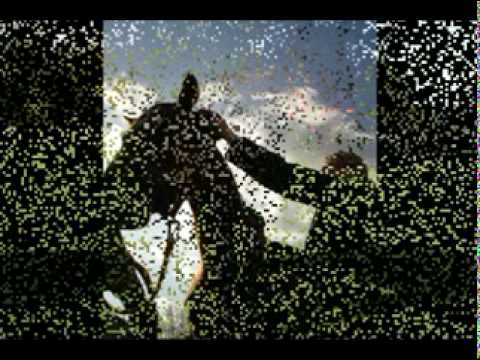 Moje konie rancho podkówka