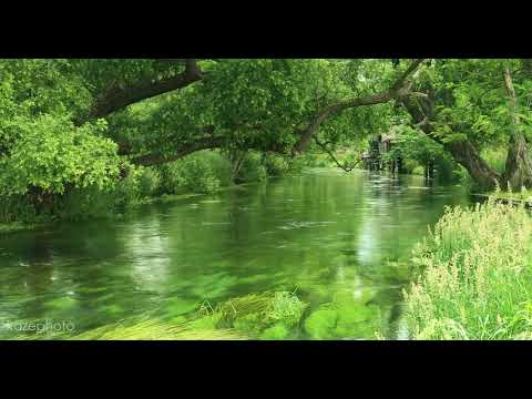 🌿💦 Sunet de apă curgătoare și ciripit de păsărele!  4K 💦🌿