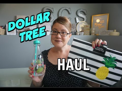 DOLLAR TREE HAUL ~ Cute Finds!  🌺🙌 Video