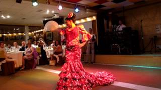 Boda Paco y Graciela. Baile sorpresa con bata de cola. Vivo Cielo. José Mercé