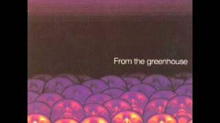 Crack The Sky - 01 From The Greenhouse