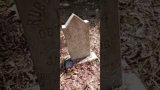 walking through a small haunted graveyard during the day.