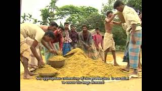 ফসল কর্তন