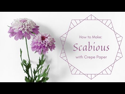 MAKING SCABIOUS - Pincushion Flower with Crepe Paper (Sneak Peek) #flowers #crepepaperflowers