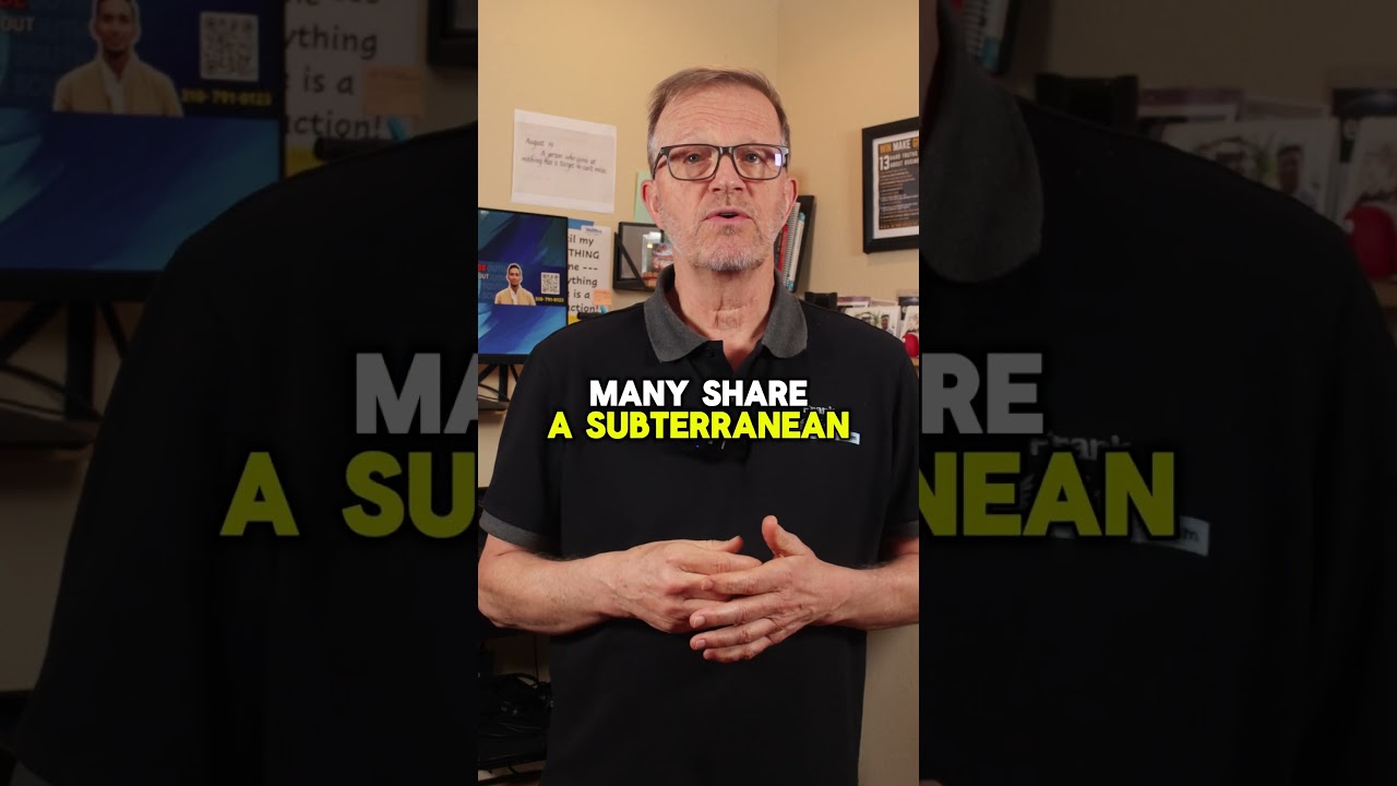 Condo vs Townhouse vs Single Family Home — What's the Difference?