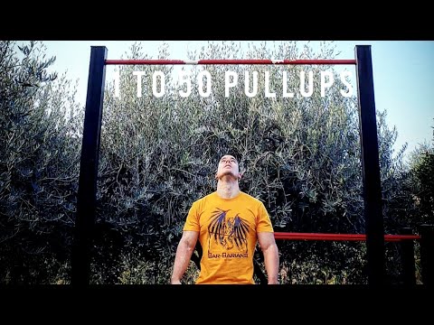 1 TO 50 PULLUPS UNBROKEN (ALL 50 SETS) - Serg aka NewEra The Bar-Barian