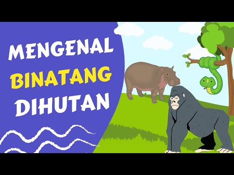 GORILA DAN KUDANIL BERMAIN| MENGENAL BINATANG DI HUTAN