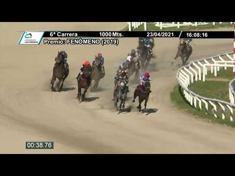 210423 c06 - TIGER OF FIRE - HIPODROMO LAS PIEDRAS