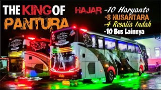 BUS PELAKOR !!! REAL RAJA PANTURA !! Trip By Haryanto 020 Paradise P Beroo Style #2