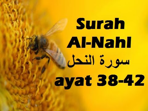 2014/01/06 Ustaz Shamsuri 799 - NE2 Tafsir Surah An Nahl ayat 38-42