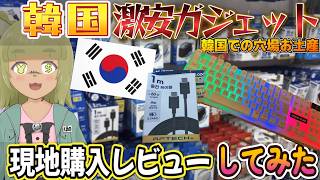 【現地購入】韓国激安ガジェット現地で購入レビューしてみた！　＃ガジェット　＃韓国　＃vtuber