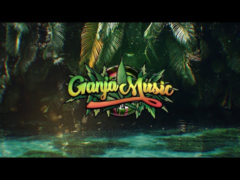 Sean Paul - She Doesn't Mind (Theemotion Reggae Remix)