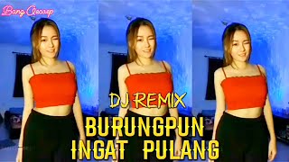 Download lagu BURUNGPUN INGAT PULANG FULL BASS GOYANG || #remixtembangkenangan #djtiktokviral #bangoecoep mp3 Download lagu BURUNGPUN INGAT PULANG FULL BASS GOYANG || #remixtembangkenangan #djtiktokviral #bangoecoep mp3