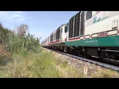 IC 558 TI Taranto - Reggio di Calabria C.le (D 445.1101 in testa)