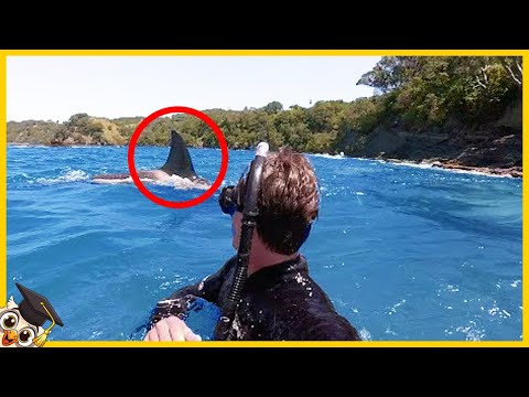 10 Skrämmande Fiskeögonblick Fångade på Kamera