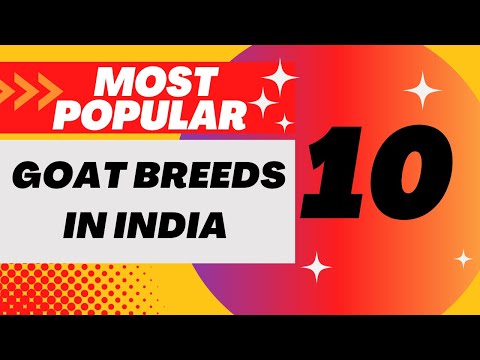 , title : '10 Most Popular Goat Breeds in India'