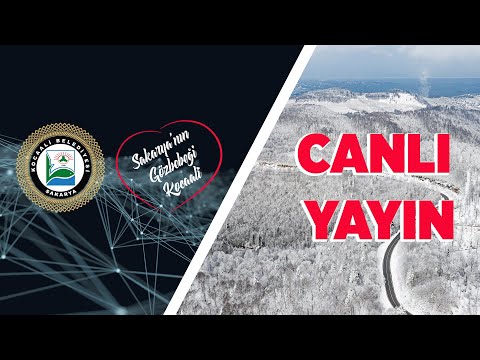 Edebiyatın Beyaz Kartal'ı  Bahaettin Karakoç'u Anma Programı