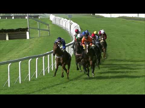 CH, 13. 9. 2020, 5. dostih - CENA SPOLEČNOSTI AŽD PRAHA s. r. o.