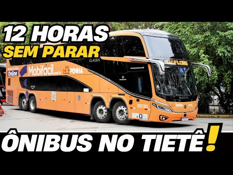 APARECEU DE TUDO!! UM DIA INTEIRO NA MAIOR RODOVIÁRIA DO BRASIL, A RODOVIÁRIA DO TIETÊ | EPISÓDIO 4