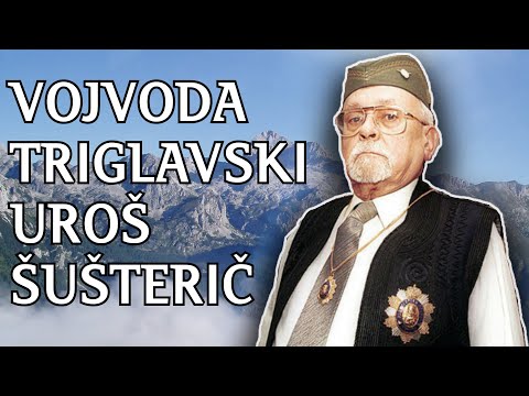 ZAPISI IZ RAVNOGORSKOG POKRETA OD LJUBLJANE DO RAVNE GORE