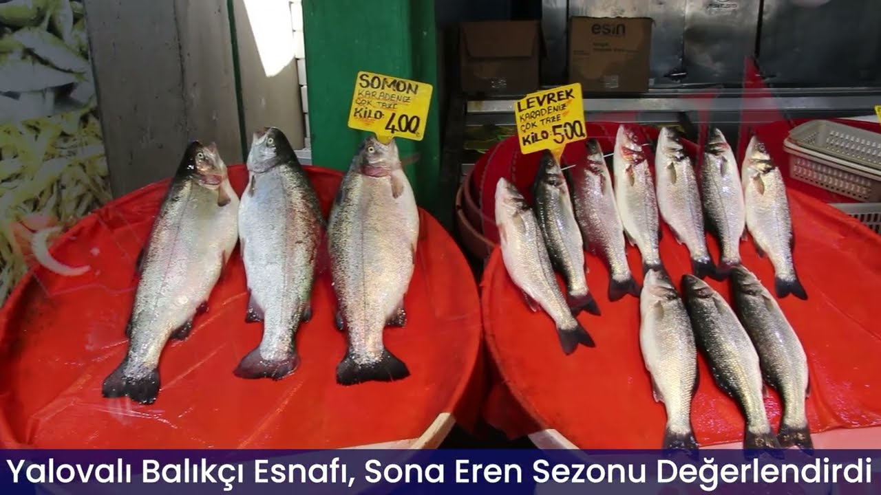Yalovalı Balıkçı Esnafı, Sona Eren Sezon Hakkında Konuştu