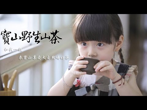 『微笑背後的故事-寶山野生山茶』微電影