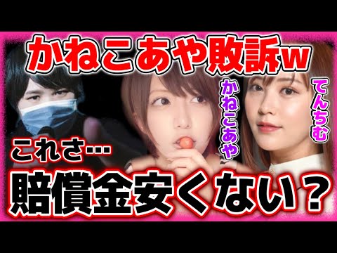 てんちむ・かねこあやの裁判終了…嘘をつきまくっていたかねこあやへの賠償金が公開される【2022/03/31】