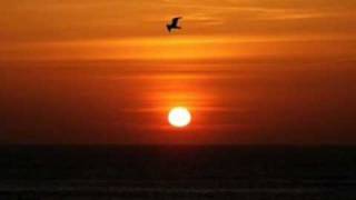 UM SONHO DE VERÃO...(Moonlight Serenade) NARA LEÃO