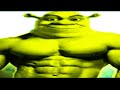 5 Hours Of Silence Very Occasionally Broken By Goofy Ahh Sound Effects
