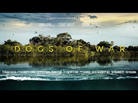 Fly Fishing For Tigerfish In The Okavango - Dogs Of War