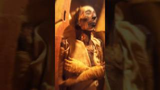 Download lagu The face of firawn #shorts #egypt #mummy #muslim #documentary #story #islam #history #humor mp3 Download lagu The face of firawn #shorts #egypt #mummy #muslim #documentary #story #islam #history #humor mp3