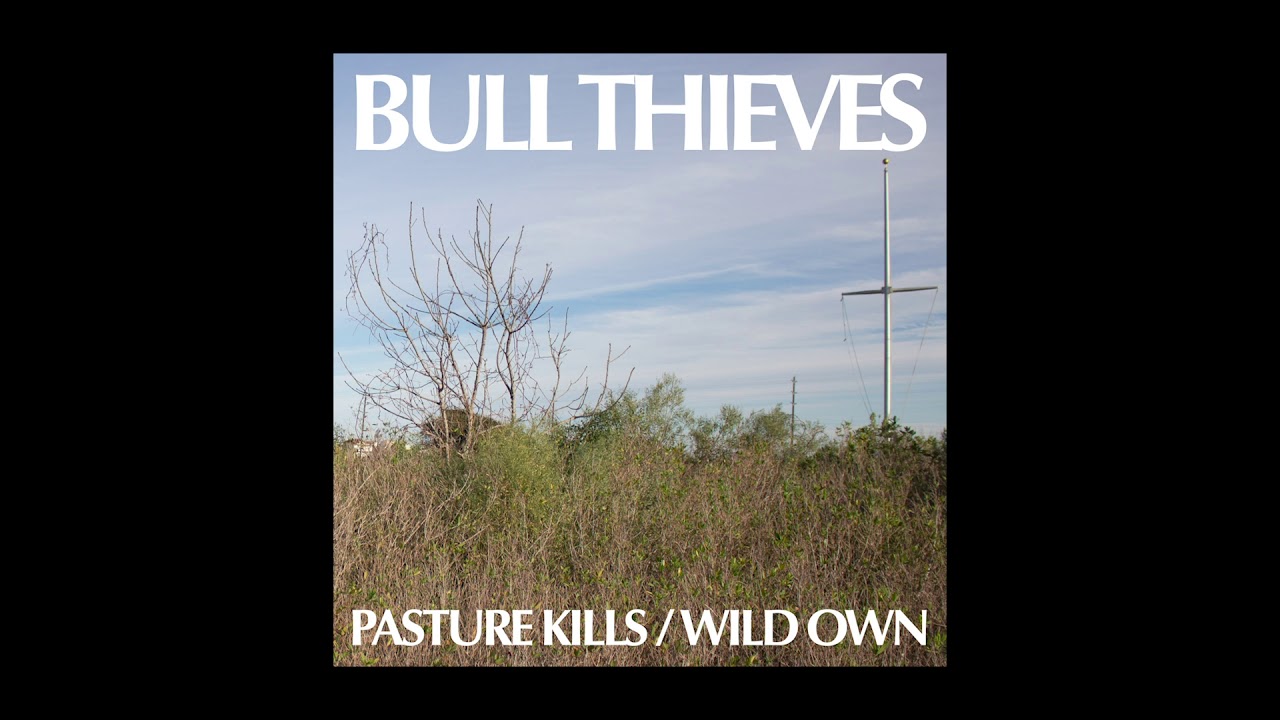 Bull Thieves