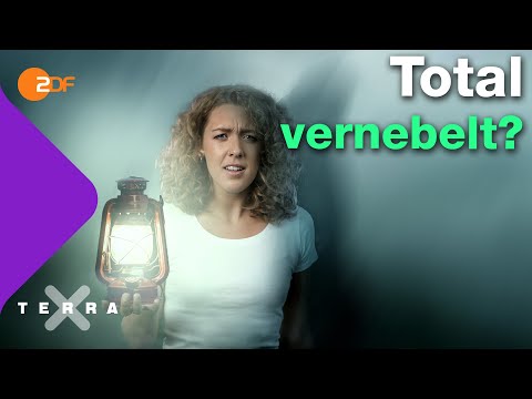 Faszinierende Fakten über das Mysterium Nebel | Terra X plus