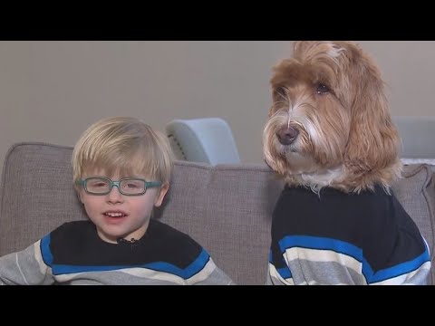 Buddy and Reagan; best friends with forever homes