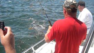 preview picture of video 'St. Andrews Sport Fishing Co./ Island Quest Marine - Shark Fishing on the Bay of Fundy, NB'