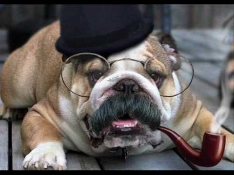 BLUE DAY (Eiffel 65 vs SMR ) mashup