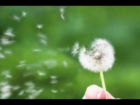 Was genau ist Caraniosacraltherapie?