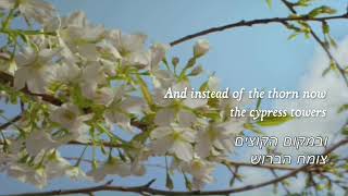 The Sower&#39;s Song - Hebrew Lyrics (Andrew Peterson)