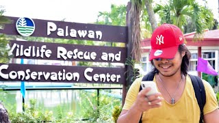 preview picture of video '#PuertoPrincesa #Palawan #trip #Christmas #vacation #Pasko #philippines  4K'