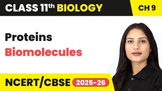 Proteins - Biomolecules | Class 11 Biology Chapter 9 | CBSE 2024-25