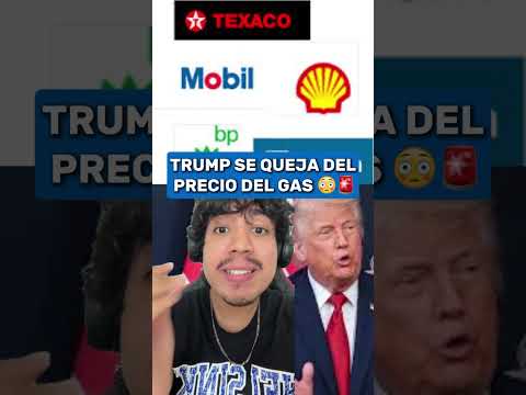 🚨 Harrison Ford humilla a Trump: Criminal e infantil #HarrisonFord #Trump #Hollywood