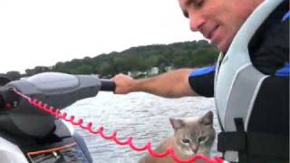 preview picture of video 'Jet skiing on Candlewood Lake with Raxl, my 16-year-old cat'