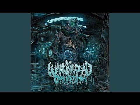 Through the Realm of Chaos