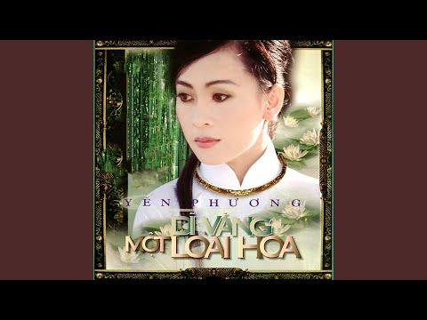 Anh đi về nơi đâu - Yến Phương