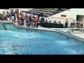 2019 USA Diving Region 7 1M Girls 14-15