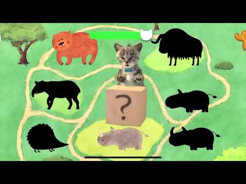 FUNNY LITTLE KITTEN ADVENTURE   CAT LONG SPECIAL#funnycats #youtube #cutecat #cat